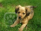 1215939846.igallery.image0000011--132x120--logo--server-haficicz